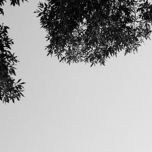 国产夫妻性做爱黄色录像一区二区三区
