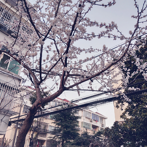 国产夫妻性做爱黄色录像一区二区三区
