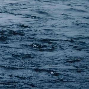 国产夫妻性做爱黄色录像一区二区三区
